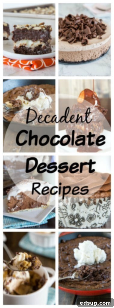 Sinfully Sweet Chocolate Delights 3 A Pinterest-friendly collage of 17 decadent chocolate dessert recipes to save for later.
