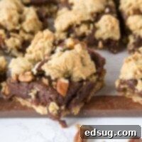 Fudge Nut Bars - an oatmeal cookie base topped with chocolate fudge, lots of nuts, and then more oatmeal cookie baked on top! Gooey and so good!