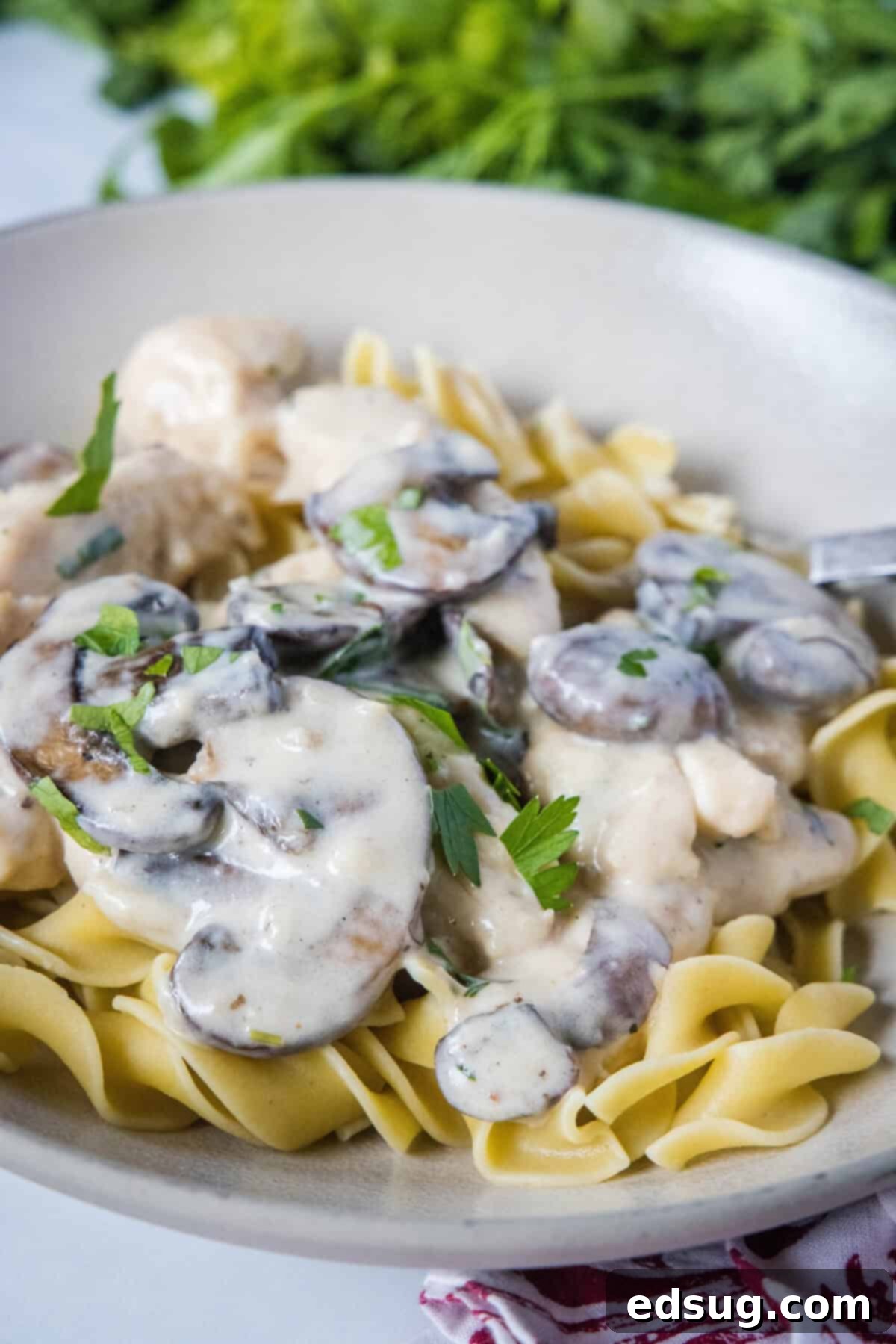 Velvety Chicken Stroganoff 2 Classic Creamy Chicken Stroganoff over egg noodles in a rustic bowl, ready to be served