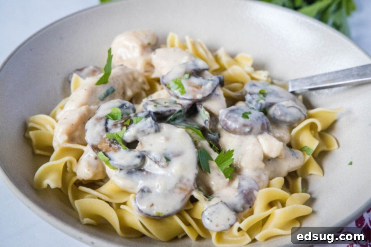 Velvety Chicken Stroganoff 6 A generous serving of creamy chicken stroganoff with tender chicken and mushrooms, garnished with fresh herbs