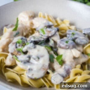 Velvety Chicken Stroganoff 8 Close-up of Creamy Chicken Stroganoff over noodles in a bowl, ready to eat