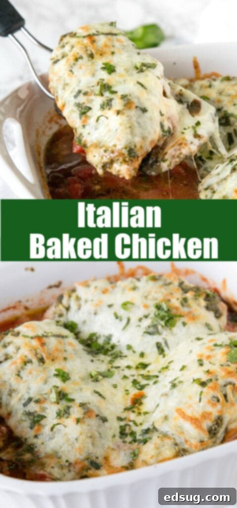 Rustic Italian Chicken Bake 5 close up chicken with melted cheese in a baking dish