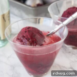 Black Cherry Sorbet - a slightly sweet, tangy and refreshing cherry sorbet. Served with prosecco or sweet sparkling wine for a fun grown up treat.