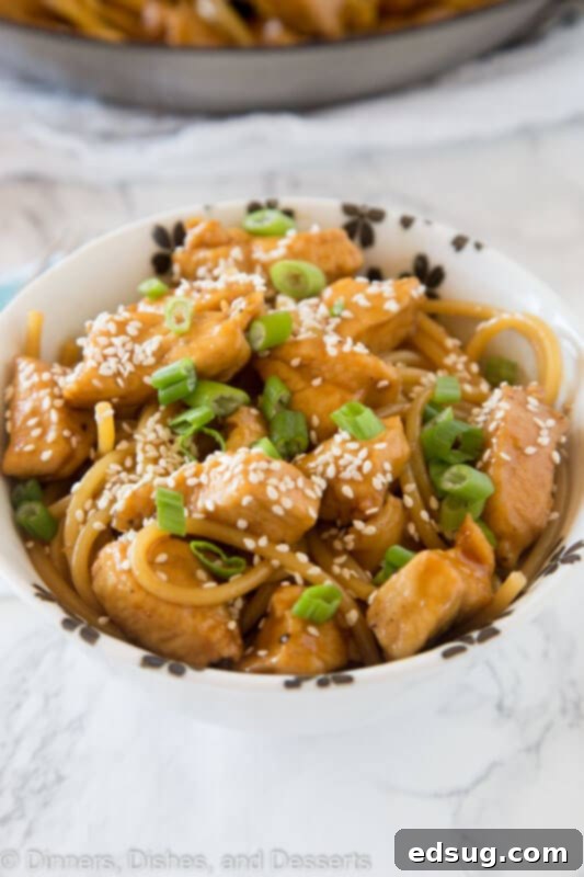 A plate of food, with Noodle and Chicken