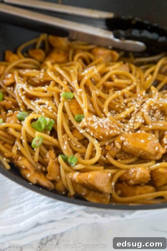 A dish is filled with food, with Noodle and Chow mein