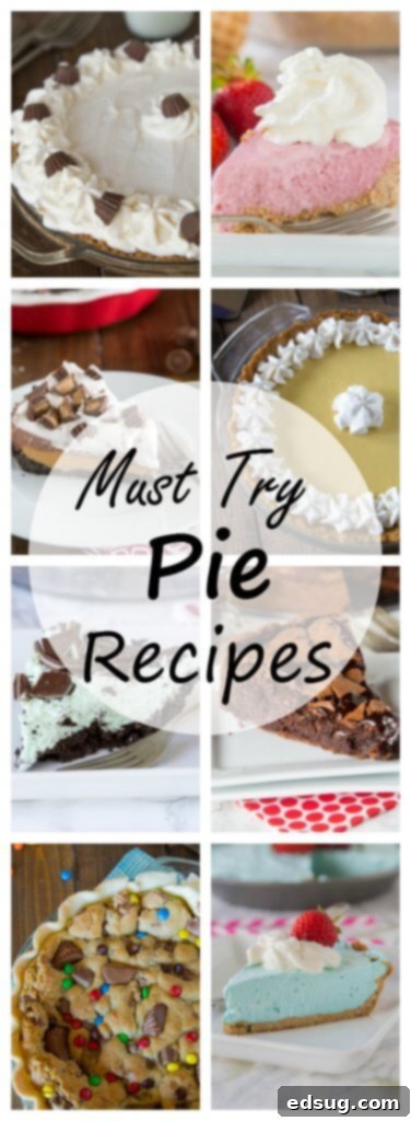 20 Must Try Pie Recipes - A round up of 20 great pie recipes you are going to want to try right away!