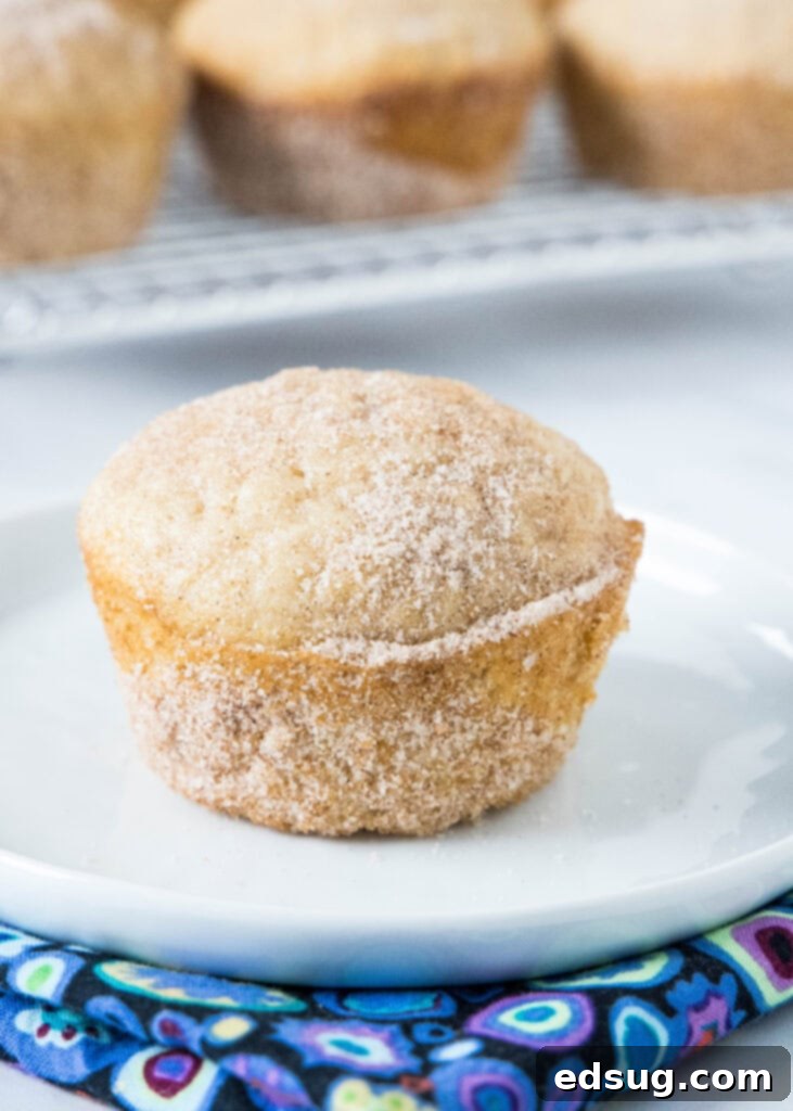 Cinnamon Swirl Muffins 2 cinnamon muffins on a white plate, showcasing their fluffy texture and cinnamon-sugar coating
