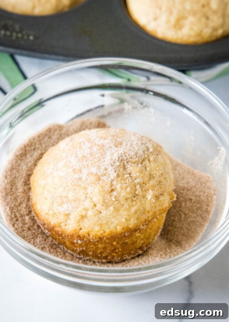 Cinnamon Swirl Muffins 5 coating warm cinnamon muffins in cinnamon and sugar mixture