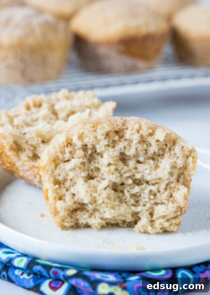 Cinnamon Swirl Muffins 6 cinnamon muffin broken in half on a white plate, revealing its soft interior