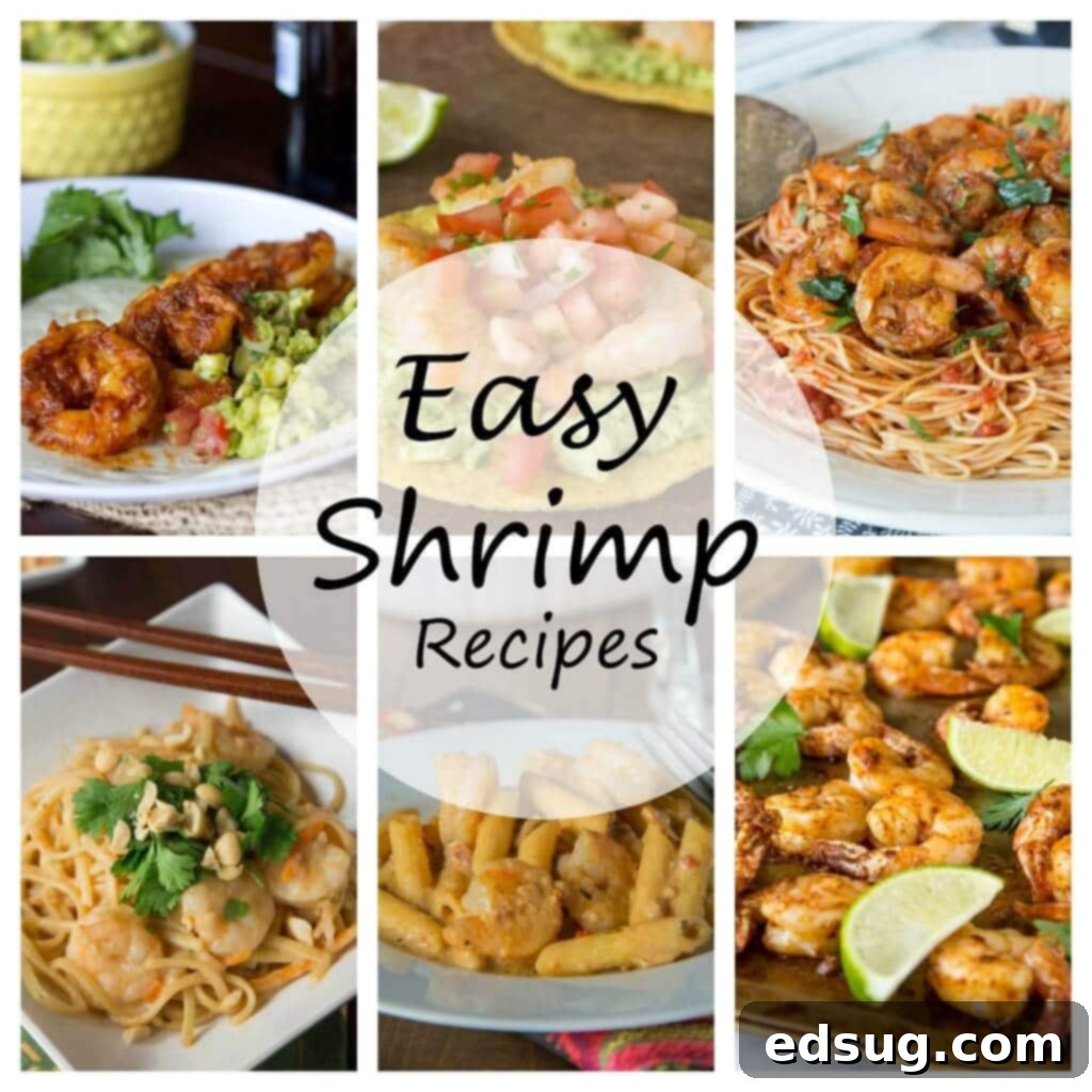 27 Effortless Shrimp Meals 2 A vibrant collage of various easy shrimp recipes, showcasing dishes like shrimp salad, pasta, and tacos, ideal for home cooking.