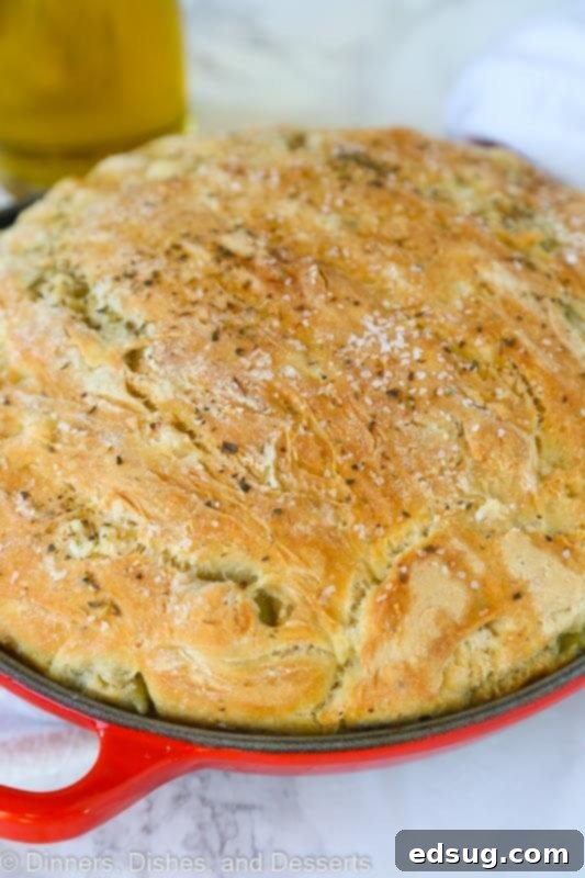 A close up of freshly baked No Knead Skillet Olive Bread, showing a golden crust and visible green olives and herbs.