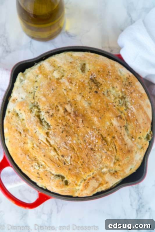 A freshly baked No-Knead Skillet Olive Bread, still in the cast iron pan, ready to be sliced.