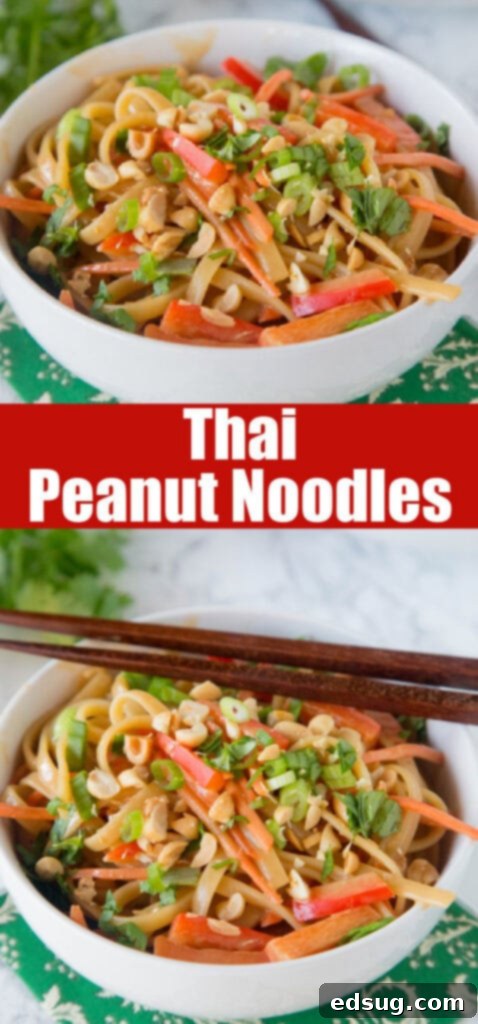 Close up view of Thai Peanut Noodles in a white bowl, garnished with green onions and peanuts