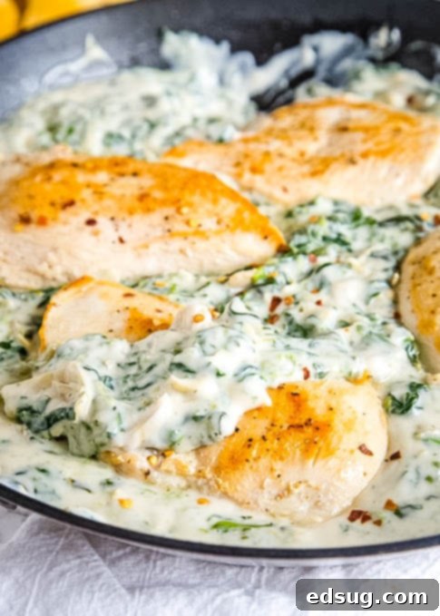 spinach artichoke sauce spooned over chicken