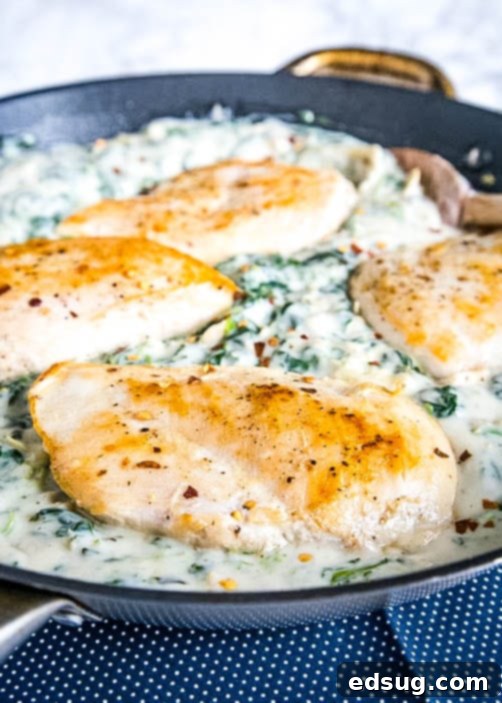 spinach aritchoke chicken in a skillet