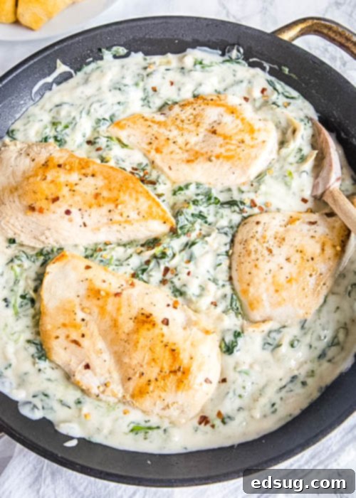 looking down on a skillet of spinach artichoke chicken