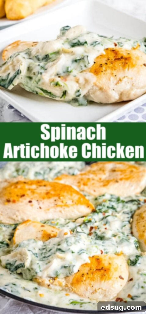 close up spinach & artichoke chicken