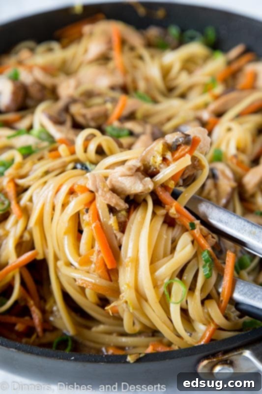 Savory Chicken Lo Mein 2 A dish is filled with pasta and veggies