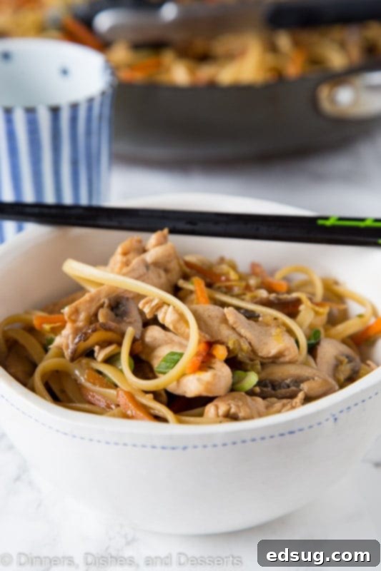 Savory Chicken Lo Mein 3 chicken lo mein in a bowl with chopsticks