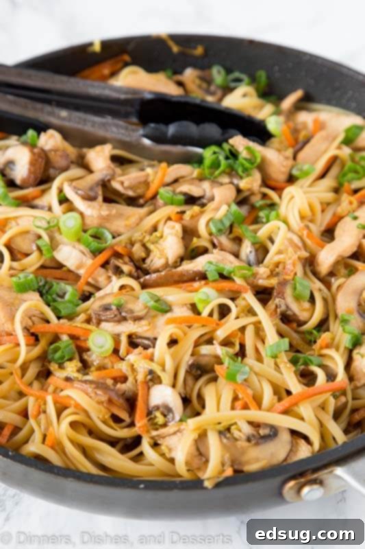 Savory Chicken Lo Mein 4 skillet with chicken lo mein