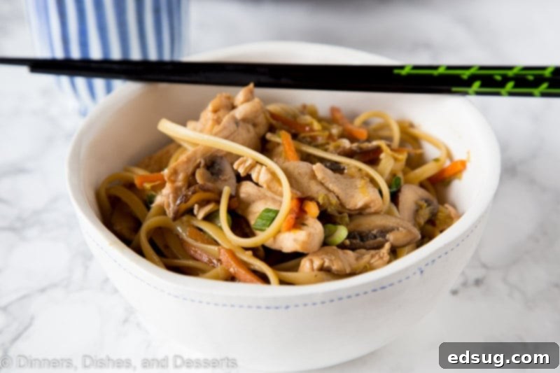 Savory Chicken Lo Mein 5 A bowl chicken lo mein