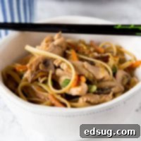 Savory Chicken Lo Mein 6 Chicken Lo Mein - make your own take out at home with this super easy Chinese chicken lo mein recipe. Full of lots of veggies, 20 minutes, and dinner is done!