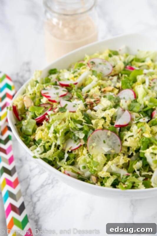 Sesame Ginger Napa Slaw 2 A close up of a bowl of salad, with Cabbage