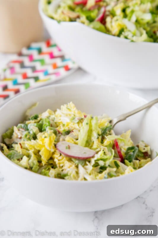 Sesame Ginger Napa Slaw 3 A bowl of salad, with Cabbage