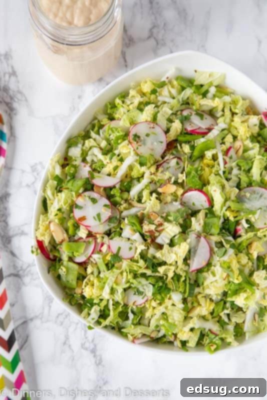 Sesame Ginger Napa Slaw 4 A bowl of salad, with Cabbage and Napa cabbage