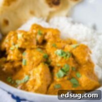 Creamy Butter Chicken Perfection 8 square close up butter chicken curry with cilantro over rice