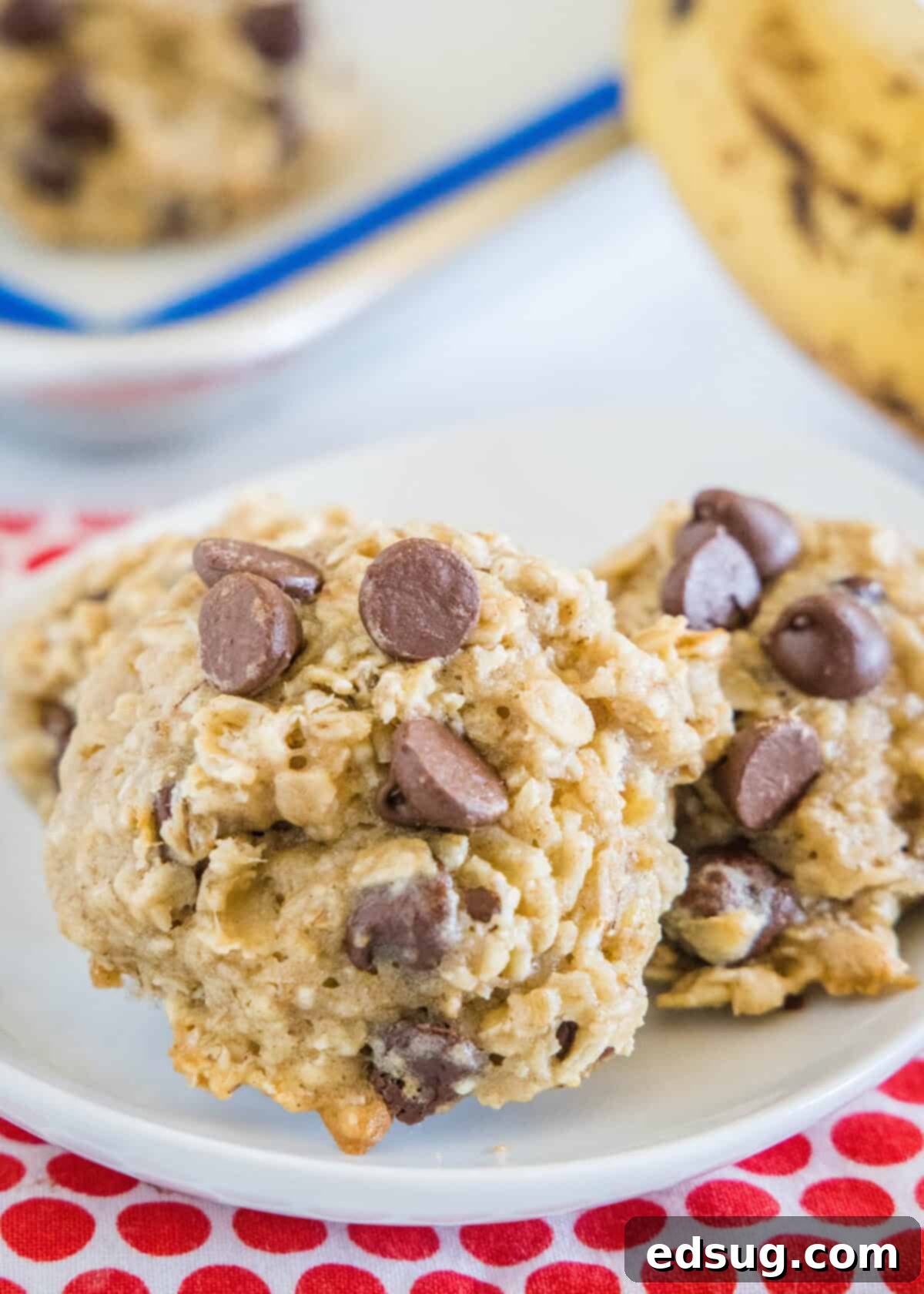 A plate piled high with golden brown banana oatmeal chocolate chip cookies, showing their thick, chewy texture