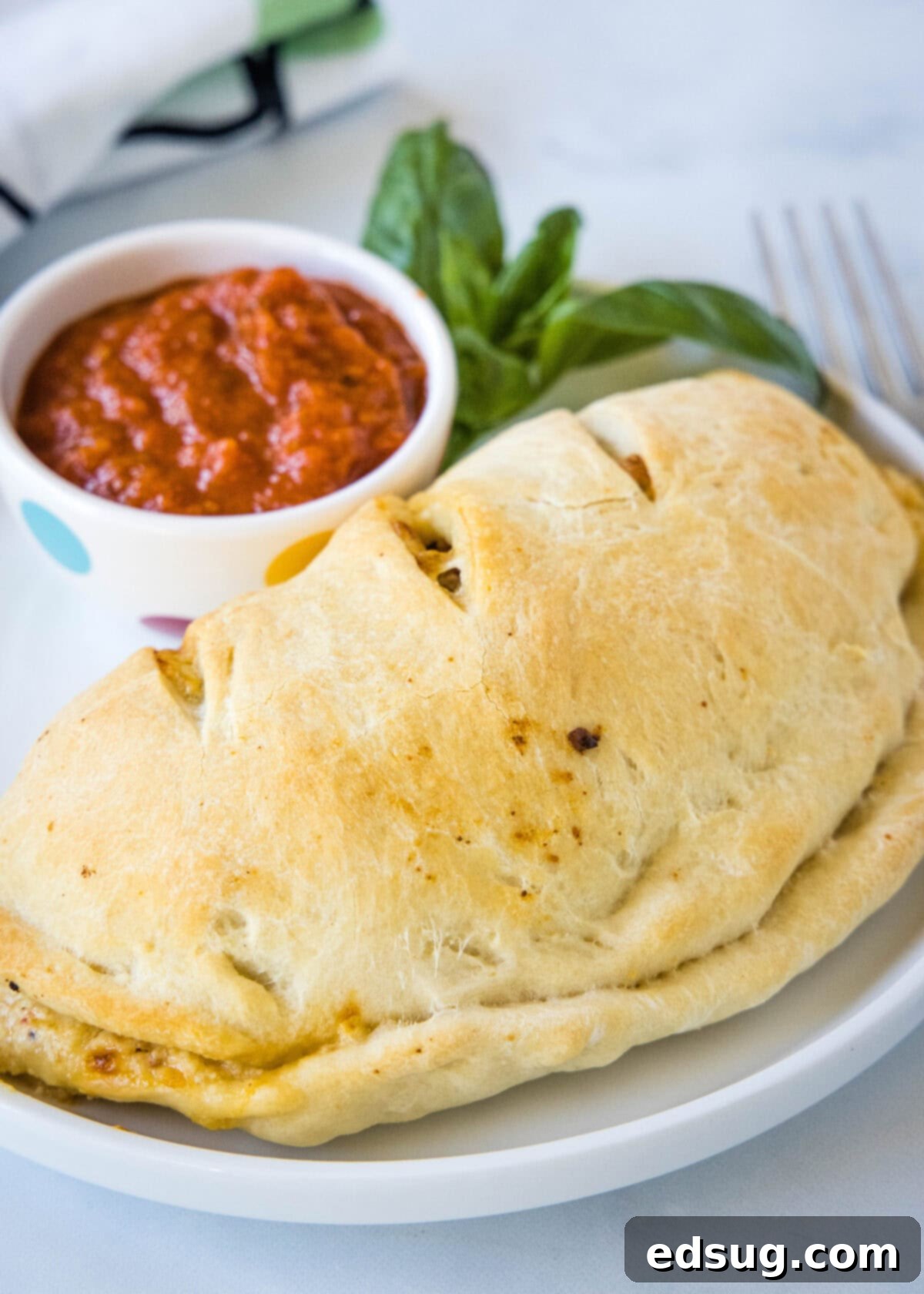 Folded Pizza Pockets 10 A single homemade calzone on a white plate, with a side of red dipping sauce.