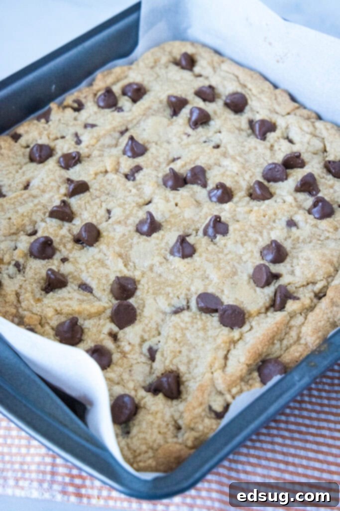 Ultimate Peanut Butter Chocolate Chip Bars 4 Close-up of baked peanut butter chocolate chip bars in a square baking pan, golden brown with melted chocolate
