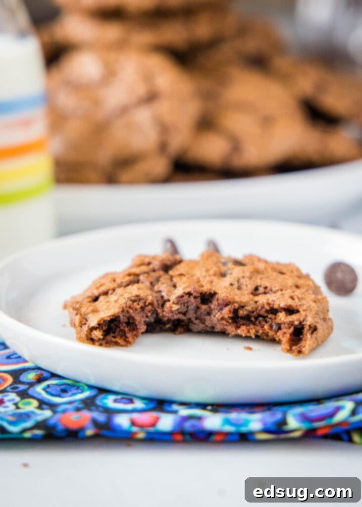 Decadent Chocolate Fudge Cookies 6 A single fudgy brownie cookie on a white plate with a bite taken out, revealing its soft, rich, and moist interior, along with its chewy edge.