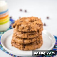 Decadent Chocolate Fudge Cookies 8 Close up of delicious, fudgy brownie cookies on a white plate, showcasing their inviting texture and crackly tops.