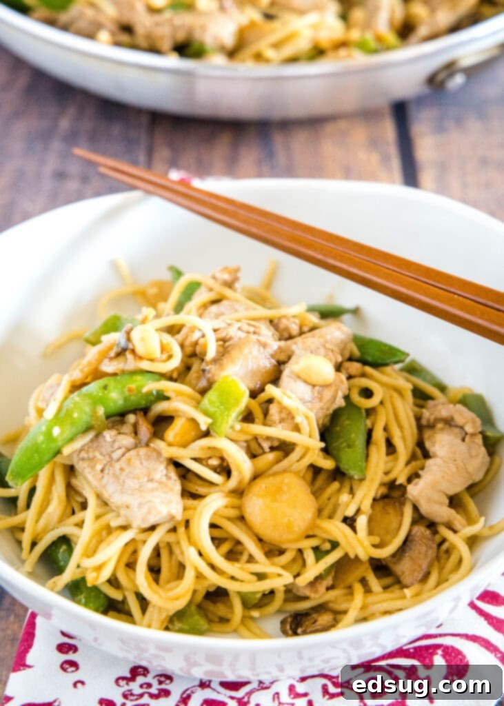 Savory Stir-Fried Noodles 2 A bowl of freshly made stir fry noodles with chopsticks, featuring a mix of vegetables and pork, garnished with peanuts and green onions.