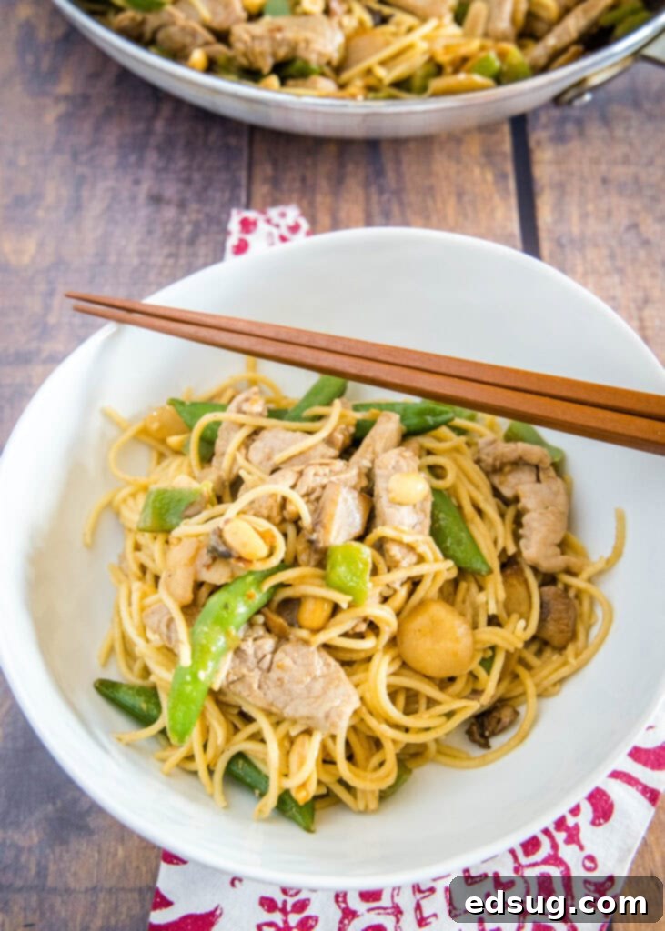 Savory Stir-Fried Noodles 6 Top-down view of a bowl of delicious Asian stir fry noodles, garnished with chopped peanuts and green onions.
