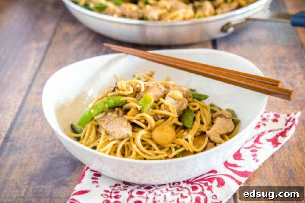 Savory Stir-Fried Noodles 8 Close-up of a serving of Stir Fry Noodles, highlighting the rich sauce, tender pork, and colorful vegetables.