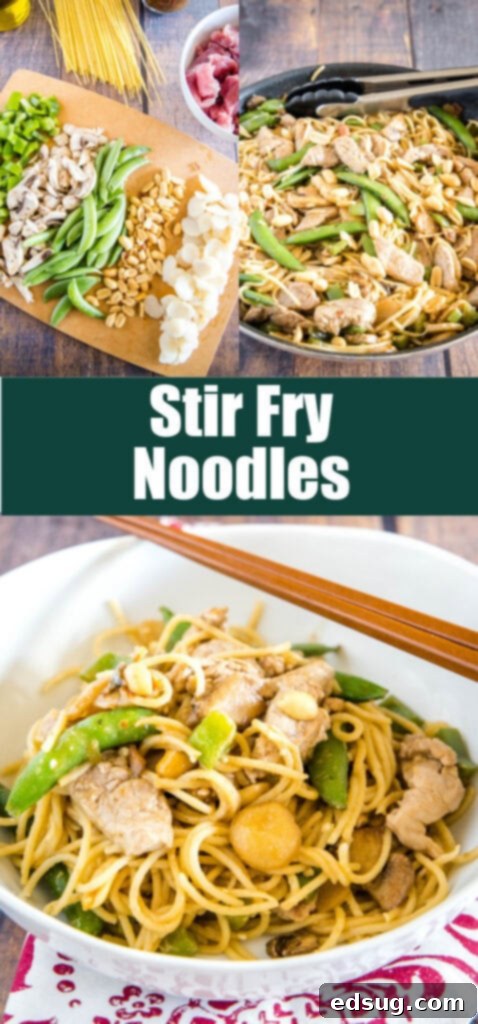 Savory Stir-Fried Noodles 9 Pinterest collage of different Asian noodle dishes, including stir fry noodles, for meal inspiration.