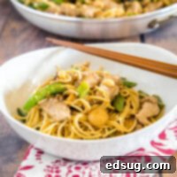 Savory Stir-Fried Noodles 10 cropped in picture of stir fry noodles in a bowl