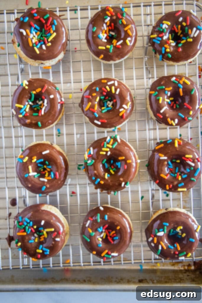 A dozen freshly baked chocolate mini donuts arranged on a wire cooling rack