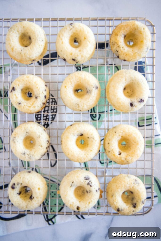 Freshly baked mini donuts cooling on a wire rack before glazing