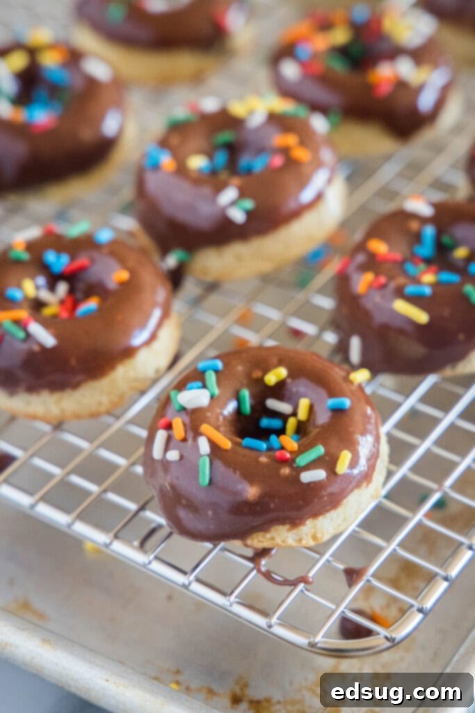 A row of delicious chocolate mini donuts resting on a wire rack, freshly glazed