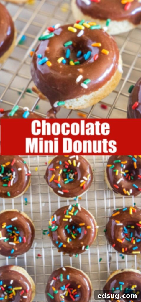 Close-up of baked chocolate mini donuts with glaze and sprinkles for social media