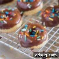 A close-up of a single chocolate mini donut with chocolate glaze