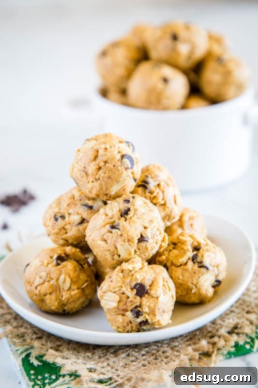 Protein Peanut Butter Energy Bites 2 Homemade energy balls with peanut butter, flax seed, oats, honey, protein powder, and chocolate chips on a white plate