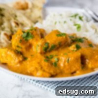 The Ultimate Homemade Chicken Tikka Masala 6 A plate of creamy Chicken Tikka Masala garnished with fresh cilantro.