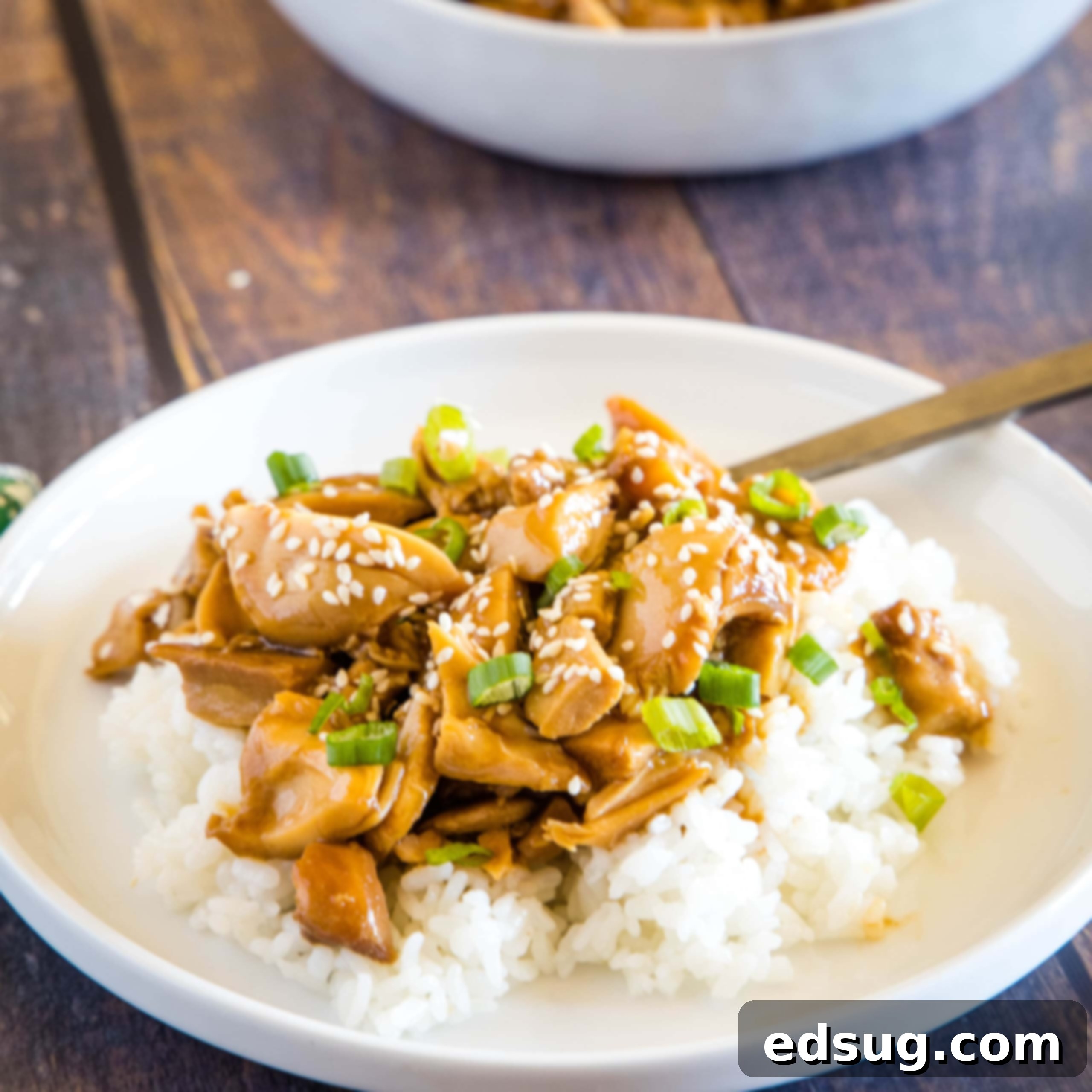 Homemade Asian Outshining the Takeout 15 cropped picture of teriyaki chicken on a plate