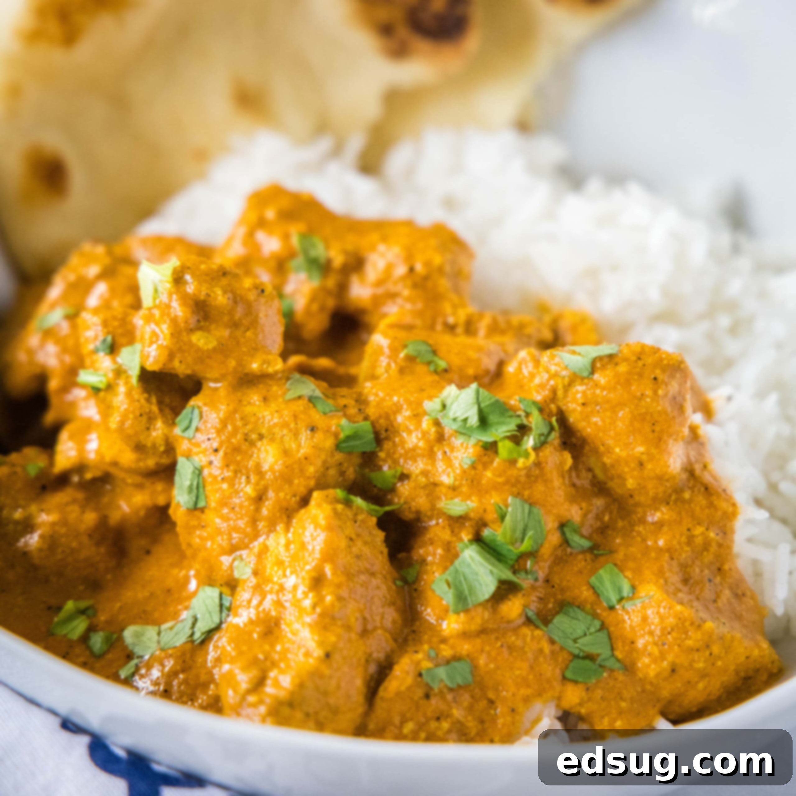 Homemade Asian Outshining the Takeout 16 square close up butter chicken curry with cilantro over rice