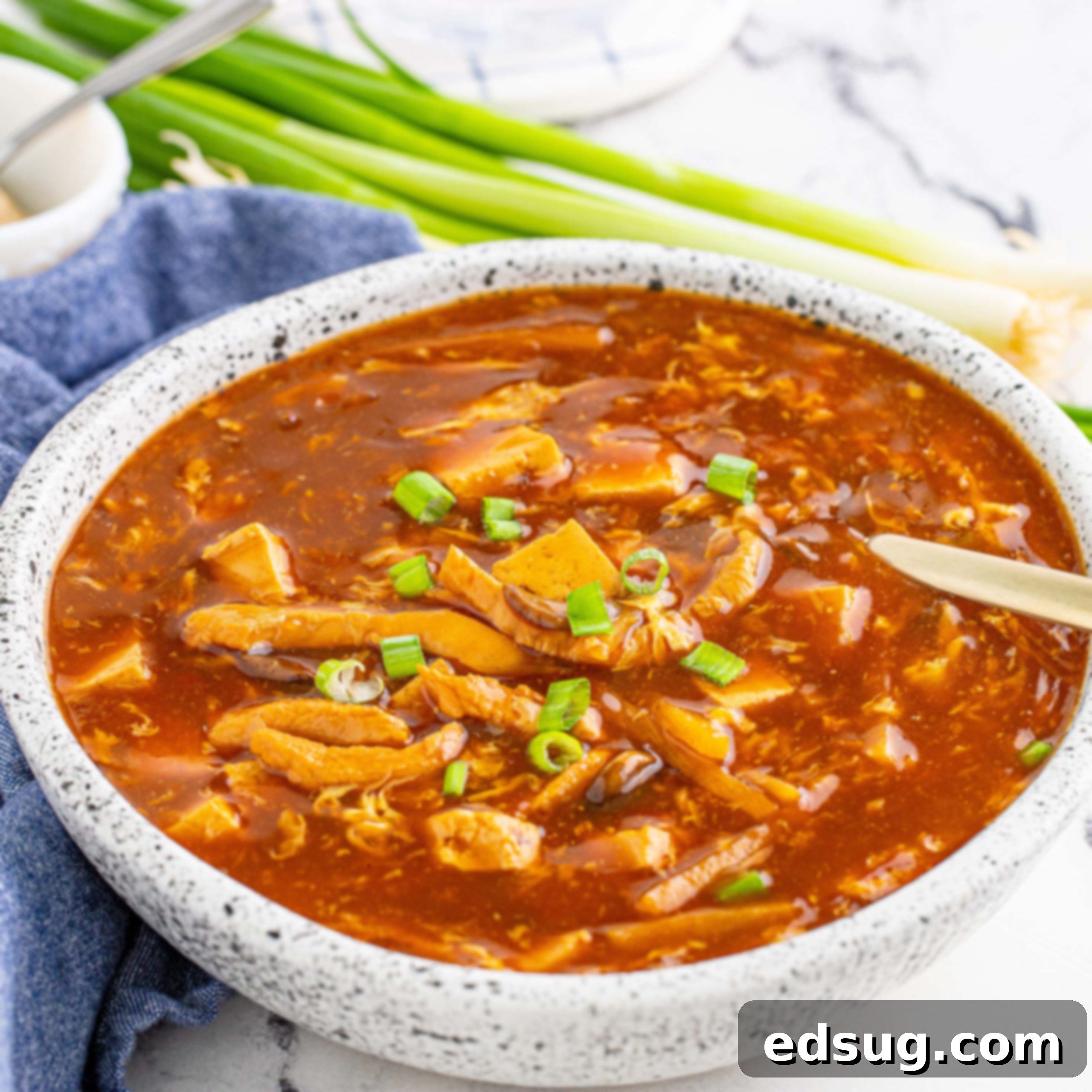 Homemade Asian Outshining the Takeout 19 close up of hot and sour soup in a bowl